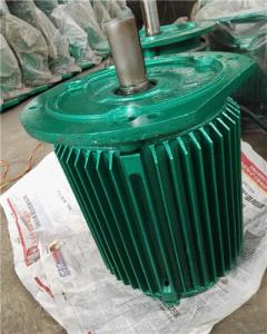 BNL2型冷卻塔專用電機(jī)